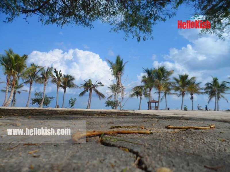 ساحل درختان نارگیل جزیره کیش