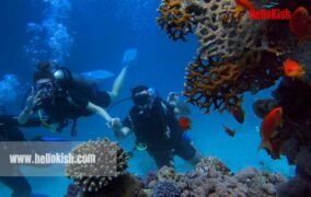 غواصی در کیش